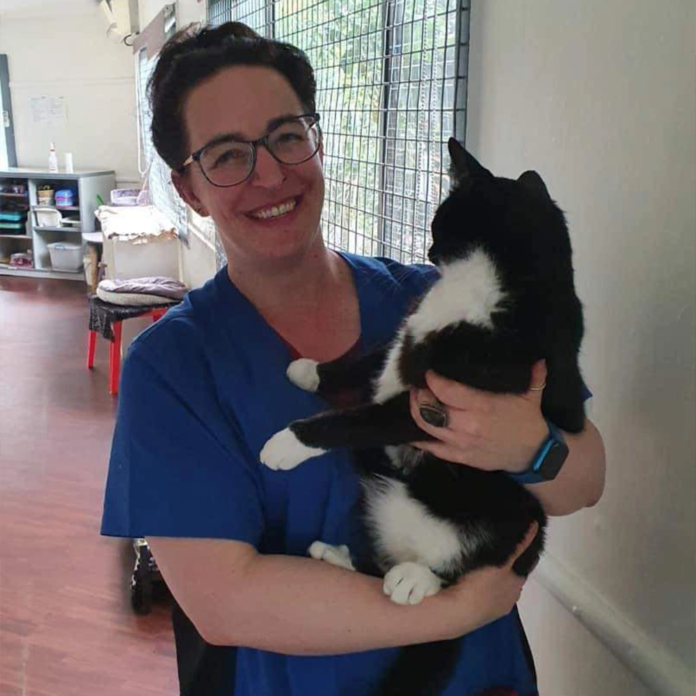 Austinmer & Helensburgh Vets - Preventative Health Care - Hannah & Kitty