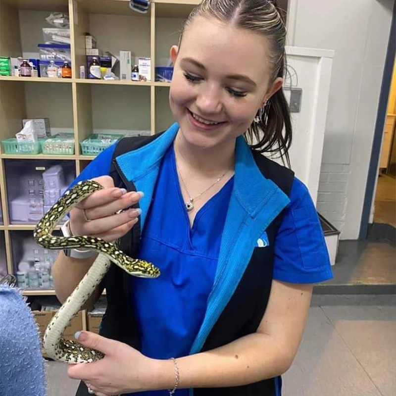 Austinmer & Helensburgh Vets - Preventative Health Care - Jess & Snake