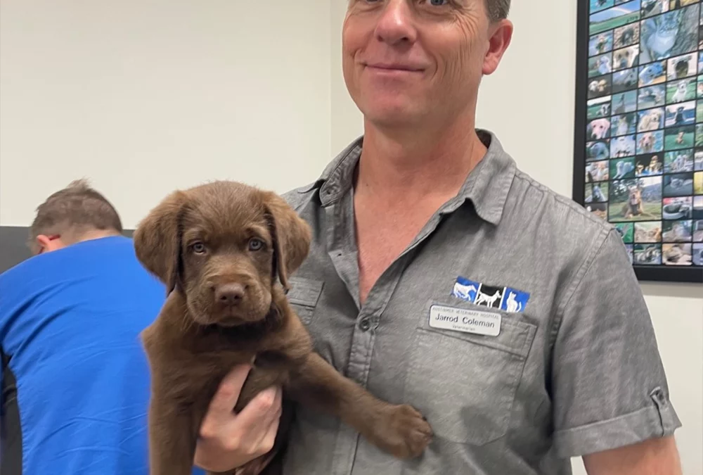 Preventative Health Care