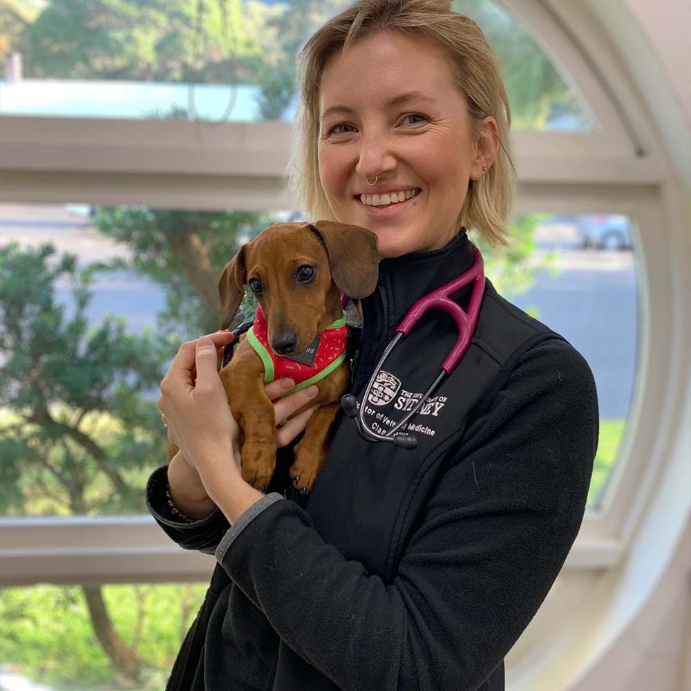 Austinmer & Helensburgh Vets - Meet Our Team - Dr Marielle Cleary