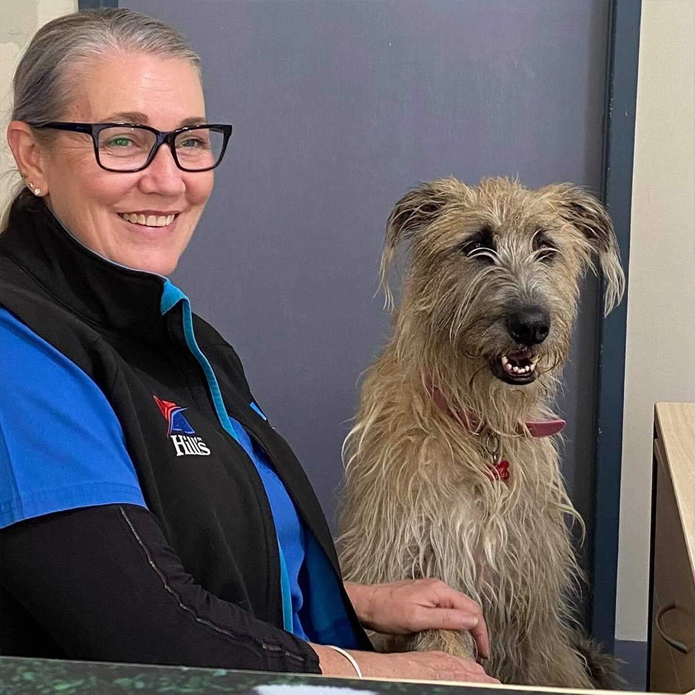 Austinmer & Helensburgh Vets - Meet Our Team - Rachael Kenworthy