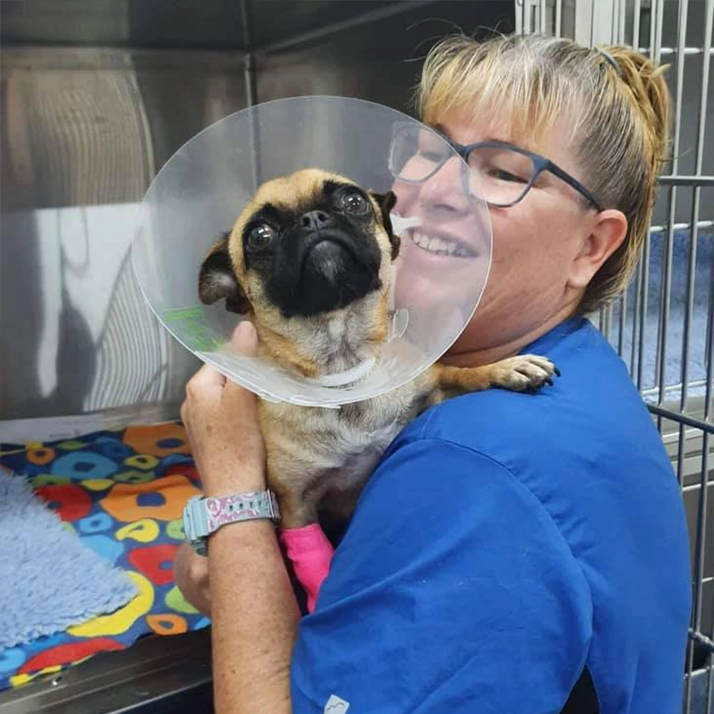 Austinmer & Helensburgh Vets - Surgical Services - Nurse Jenny and Pug
