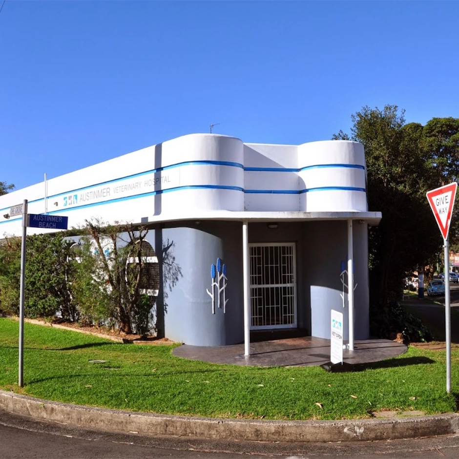 Austinmer & Helensburgh Vets - Austinmer Veterinary Hospital