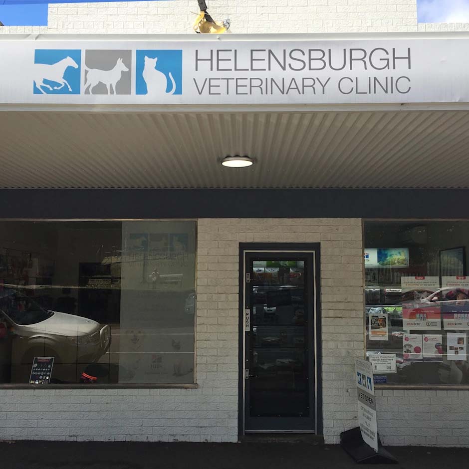 Austinmer & Helensburgh Vets - Our Veterinary Services